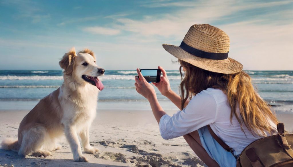 Beach Dog Fun Portriats