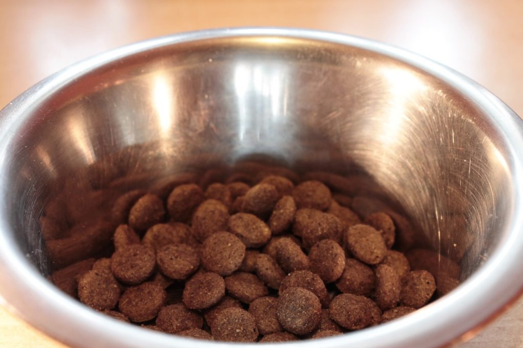 How Much Protein in Dog Food Food